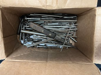 Box Of Assorted Nails, Screws, And Bolts