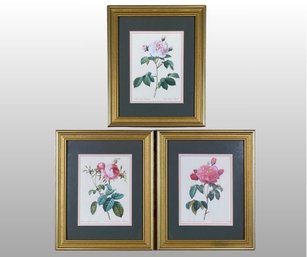 Framed Botanical Prints (3)