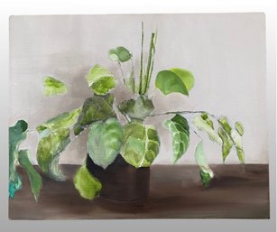 Unknown Artist, Study Of A Potted Plant, Acrylic On Canvas