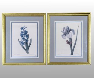 Jean Pierre Redoute, Hyacinthus Orientalis And Iris Ciphum, Framed Prints (2)