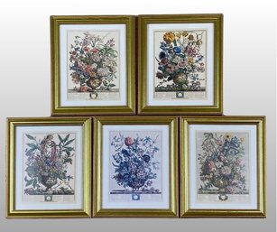 Robert Furber Twelve Months Of Flowers Prints (5)