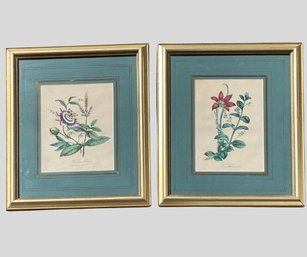 Pair Of Hand Colored Botanical Prints, Custom Matted And Framed, 1853