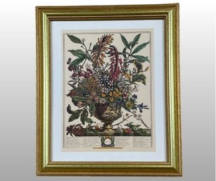 Robert Furber Twelve Months Of Flowers January Print