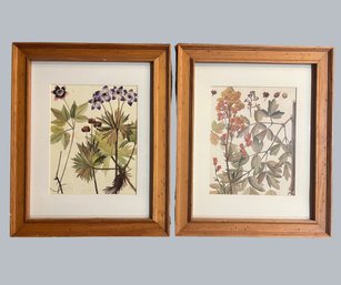 Floral / Botanical Prints, Matted And Framed (2)