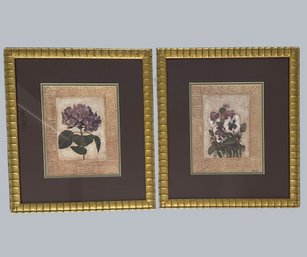 Pair Of Framed Floral  Art Prints