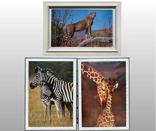 Group Of Three Framed Wildlife Posters
