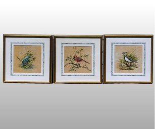 Set Of Three Matted And Framed Bird Prints
