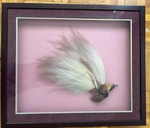 Victorian Millinery Bird Of Paradise, 19th Century