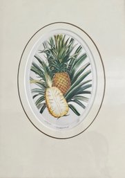 Steve Strickland And Lahaina Printsellers (Lahaina, Maui), Pineapple, Intaglio Print, 1995