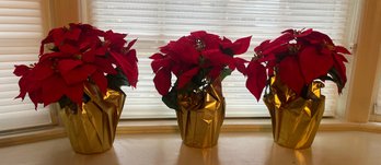 Artificial Poinsettias