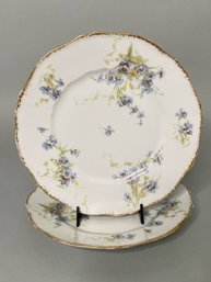 Two Theodore Haviland Dinner Plates In Schleiger Pattern, Limoges, France