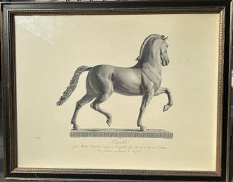 Wall Art Print Of Domenico Marchetti, Statuesque Horse II