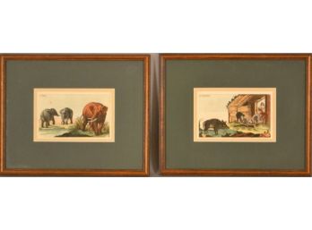 Pair Of 19th Century Animal Scenes: Elephants In The Bush And Boars In The Pen