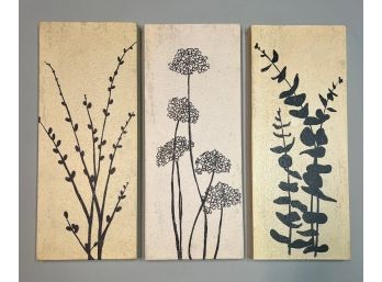 Three Black And White Botanical Art Prints