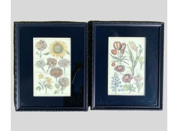 Two Floral Botanical Art Prints