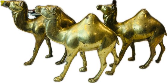 Mid Century Brass Camels - Set Of Three