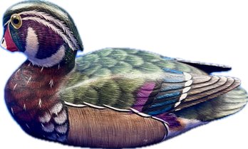 Hand Painted Mallard Duck Decoy - Signed On Base 'Wood Duck'