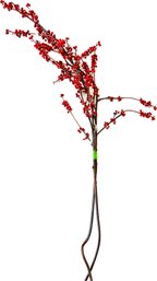 Two Branches Artificial Bayberry - Roughly 50 Inches Tall