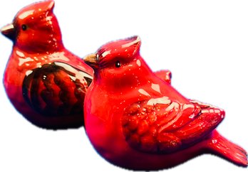 Ceramic Cardinal Salt & Pepper Shakers