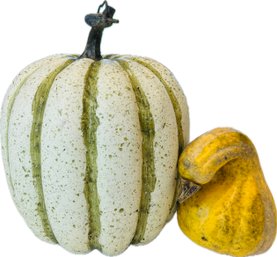 Faux Gourds