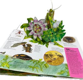 The Ultimate Pop-up Bug Book - Woeflwin Bug Book