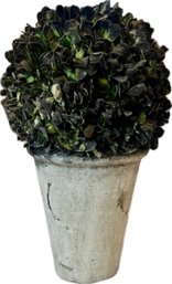 Potted Boxwood Topiary In Stoneware Pot