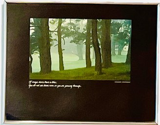 Framed Print -  Photo Image Of Trees - Signed John Pearson With Quote By Linzi Day - Chrome Frame