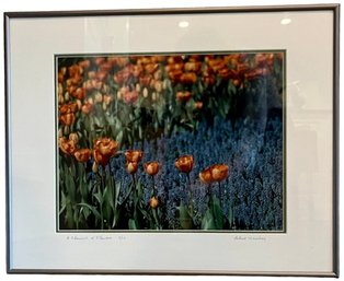 A Flourish Of Flowers - Framed Limited Edition Photo - Signed By Robert Weinberg