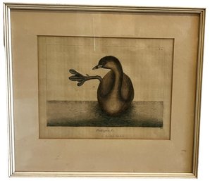 Vintage Framed Ornithological Study Of A Pied-billed Grebe - Handwritten Notation On Front Of Print