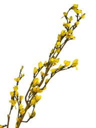 One Stem Faux Forsythia - 43 Inches