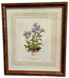 Framed Balloon Flower Print