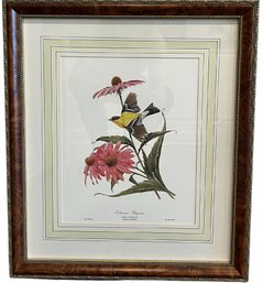 Framed Purple Coneflower Print