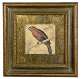 Vintage Bird Prints Beautifully Framed