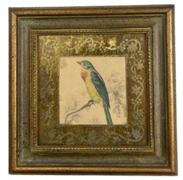 Vintage Bird Prints Beautifully Framed