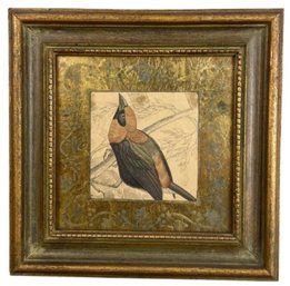 Vintage Bird Prints Beautifully Framed