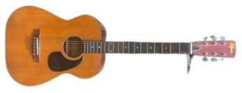 Elger Acoustic Guitar With Case