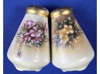 Vintage Handpainted Porcelain Salt & Pepper