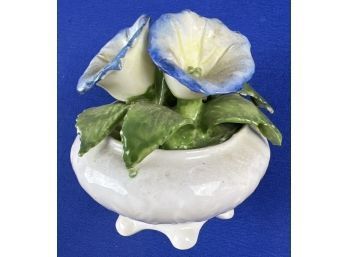 Vintage Porcelain Potted Morning Glories - Signed On Base 'Radnor Staffordshire England'