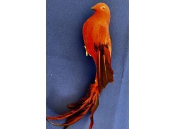 Large Clip On Feather Bird