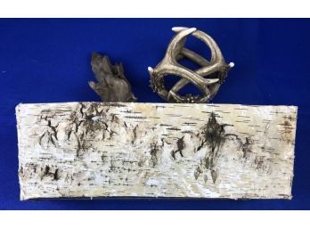 Birchbark Planting Container & Faux Antler & Interesting Planter Root Accessory