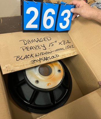 Peavey Black Widow, Box Says Needs Repair