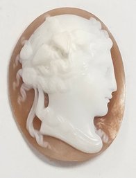 Vintage Loose SHELL CAMEO   29 X 22 MM  3.8 GR