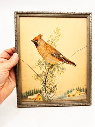 (a-45) CHARMING VINTAGE GOUACHE PAINTING OF WAXWING BIRD - SIGNED H.C.M. CIRCA 1950'S - FRAMED-11' X9'-
