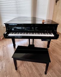 Beautiful! WM. KNABE & CO. BLACK BABY GRAND PIANO - MODEL G-122651 - Auto Disk Music Player Not Working