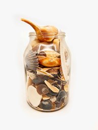 (D-27) VINTAGE GLASS JAR FILLED WITH SEA SHELLS AND SEA SHELL PARTS
