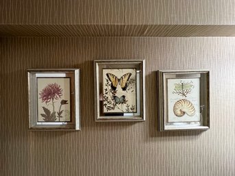 (UPB) TRIO OF MIRROR FRAMED BOTANICAL NATURE PRINTS BY CHAD BARRETT - 22' BY 18' EACH