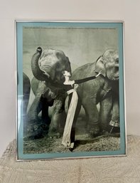 (U-4) FRAMED VINTAGE RICHARD AVEDON 'DOVINA WITH ELEPHANTS' POSTER - 1978 METROPOLITAN ART - 24.5' BY 30.5'