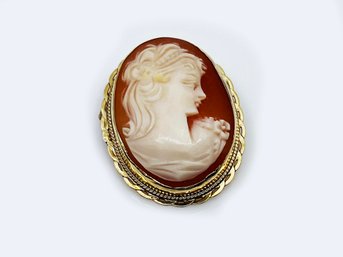 (J-41) 14 KARAT GOLD RIMMED PIN/PENDENT VINTAGE CAMEO-4.5 DWT