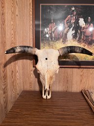 (BASE) AUTHENTIC VINTAGE TEXAS LONGHORN STEER HEAD TAXIDERMY SKULL - 26' WIDE BY 20' HIGH BY 8' DEEP