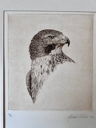 (Z-9) ORIGINAL HAND SIGNED INTAGLIO ENGRAVING BY MICHAEL COLLINS 'RED TAILED HALK'- WILDLIFE ARTIST, LIM.ED.